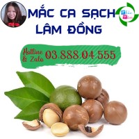 Hạt Macca Sạch Lâm Đồng logo, Hạt Macca Sạch Lâm Đồng contact details