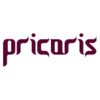 THE PRICORIS VENTURES logo, THE PRICORIS VENTURES contact details