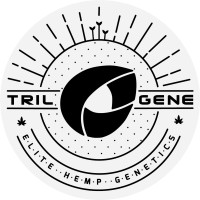 Trilogene Seeds logo, Trilogene Seeds contact details