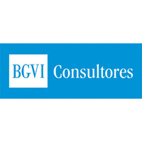 BGVI Consultores logo, BGVI Consultores contact details