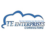 TE Enterprises Consulting, LLC logo, TE Enterprises Consulting, LLC contact details