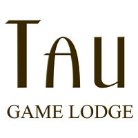 Tau Game Lodge logo, Tau Game Lodge contact details