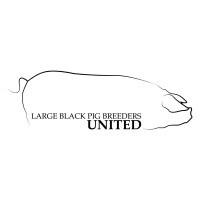 Large Black Pig Breeders United logo, Large Black Pig Breeders United contact details