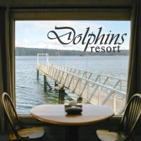 Dolphins Resort logo, Dolphins Resort contact details