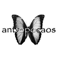 Antropocaos logo, Antropocaos contact details