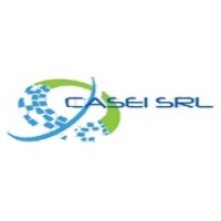 CASEI S.R.L logo, CASEI S.R.L contact details