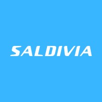 Saldivia Buses logo, Saldivia Buses contact details