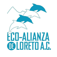 Eco-Alianza de Loreto A.C. logo, Eco-Alianza de Loreto A.C. contact details