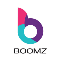 Boomzin IT Solutions Pvt Ltd logo, Boomzin IT Solutions Pvt Ltd contact details