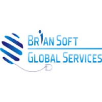 Brian Soft Global Services logo, Brian Soft Global Services contact details