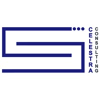 Celestra Consulting Ltd logo, Celestra Consulting Ltd contact details