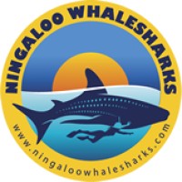 Ningaloo Whaleshark Swim logo, Ningaloo Whaleshark Swim contact details