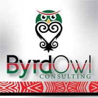 ByrdOwl Consulting logo, ByrdOwl Consulting contact details