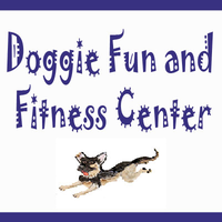 Doggie Fun and Fitness logo, Doggie Fun and Fitness contact details