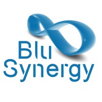 BluSynergy logo, BluSynergy contact details