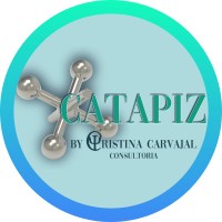 Catapiz consultoria logo, Catapiz consultoria contact details