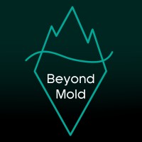 Beyond Mold logo, Beyond Mold contact details