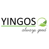 YINGOS logo, YINGOS contact details