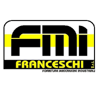 F.M.I. FRANCESCHI SRL logo, F.M.I. FRANCESCHI SRL contact details