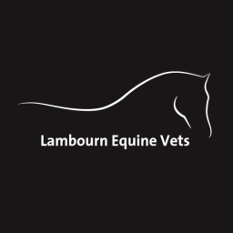 LAMBOURN EQUINE VETS logo, LAMBOURN EQUINE VETS contact details