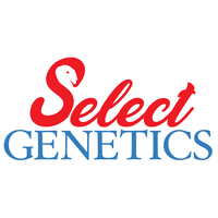 Select Genetics logo, Select Genetics contact details