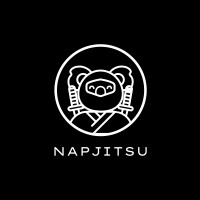 NAPJITSU logo, NAPJITSU contact details