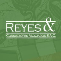 Reyes & Consultores Asociados logo, Reyes & Consultores Asociados contact details