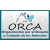 Fundación ORCA logo, Fundación ORCA contact details