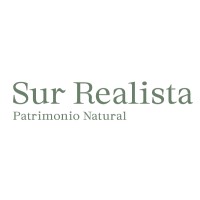 Sur Realista logo, Sur Realista contact details