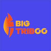 BigTriboo logo, BigTriboo contact details