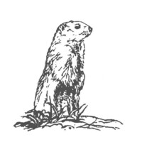 Punxsutawney Area Chamber of Commerce, Inc. logo, Punxsutawney Area Chamber of Commerce, Inc. contact details