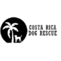 Costa Rica Dog Rescue logo, Costa Rica Dog Rescue contact details