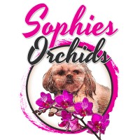 Sophie's Orchids logo, Sophie's Orchids contact details