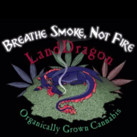 LandDragon LLC logo, LandDragon LLC contact details