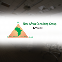 New Africa Consulting Group logo, New Africa Consulting Group contact details