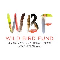 WILD BIRD FUND INC logo, WILD BIRD FUND INC contact details