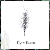 fig + farro logo, fig + farro contact details