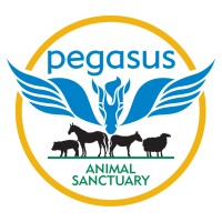 Pegasus Animal Sanctuary logo, Pegasus Animal Sanctuary contact details