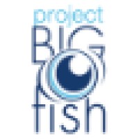 Project BIG fish logo, Project BIG fish contact details