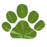 Stoner Cats logo, Stoner Cats contact details