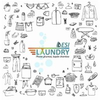 Desi Laundry logo, Desi Laundry contact details