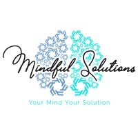 Mindful Solutions LLC logo, Mindful Solutions LLC contact details