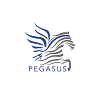 Pegasus Kenya logo, Pegasus Kenya contact details