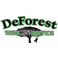 DeForest Trees Inc. logo, DeForest Trees Inc. contact details