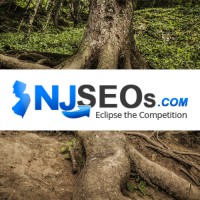 NJSEOs Website Design, SEO & PPC Agency - NJ, NY, CT, PA logo, NJSEOs Website Design, SEO & PPC Agency - NJ, NY, CT, PA contact details