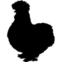 Clucking Good logo, Clucking Good contact details