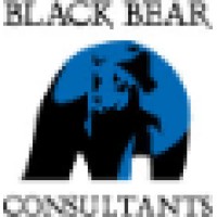 Black Bear Consultants logo, Black Bear Consultants contact details