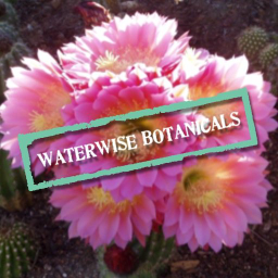 WaterWise Botanicals logo, WaterWise Botanicals contact details