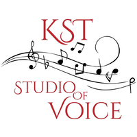 KST Studio of Voice logo, KST Studio of Voice contact details