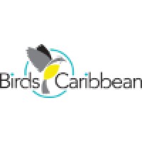 BirdsCaribbean logo, BirdsCaribbean contact details